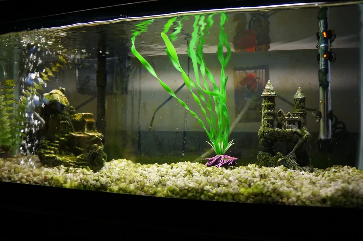Warm freshwater aquarium with gravel, plastic plants, ornaments, and a heater — a typical starter-kit look
