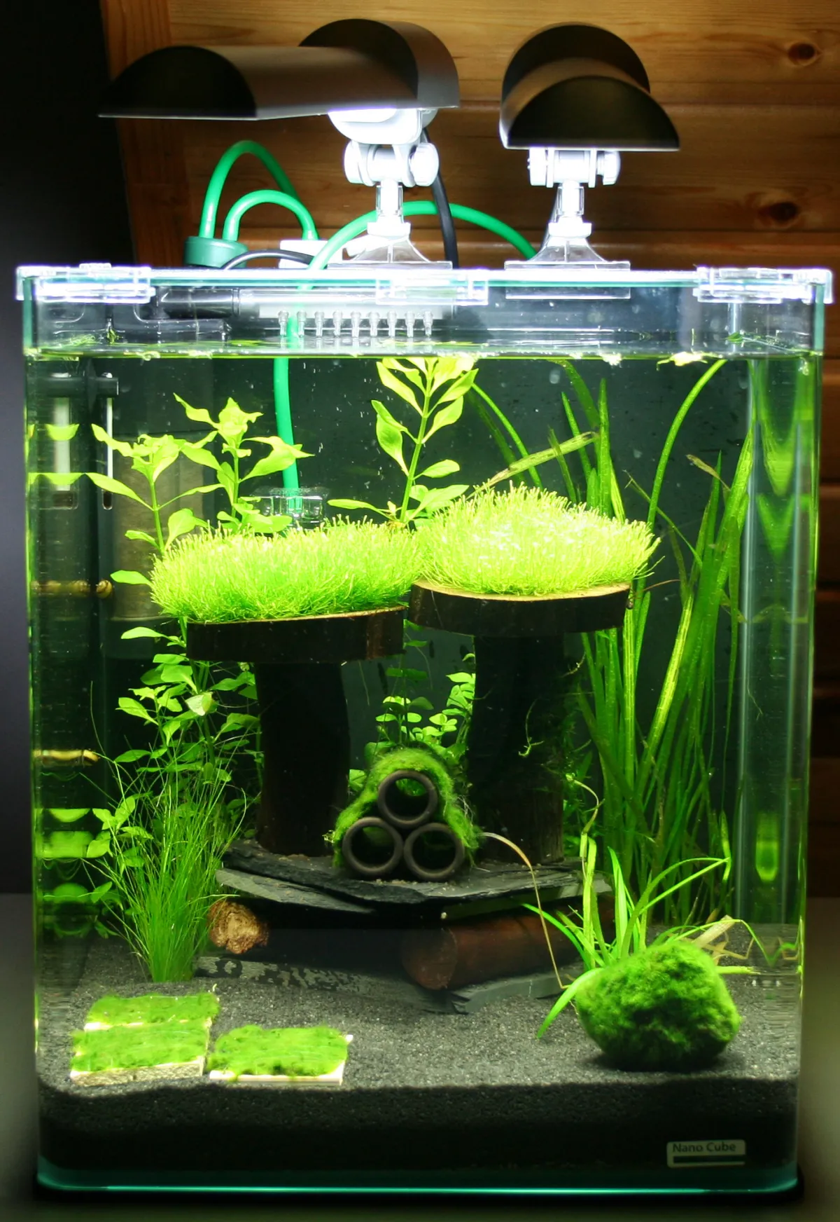 Planted nano aquarium with lights, filter tubing, and no fish — a fishless cycling setup