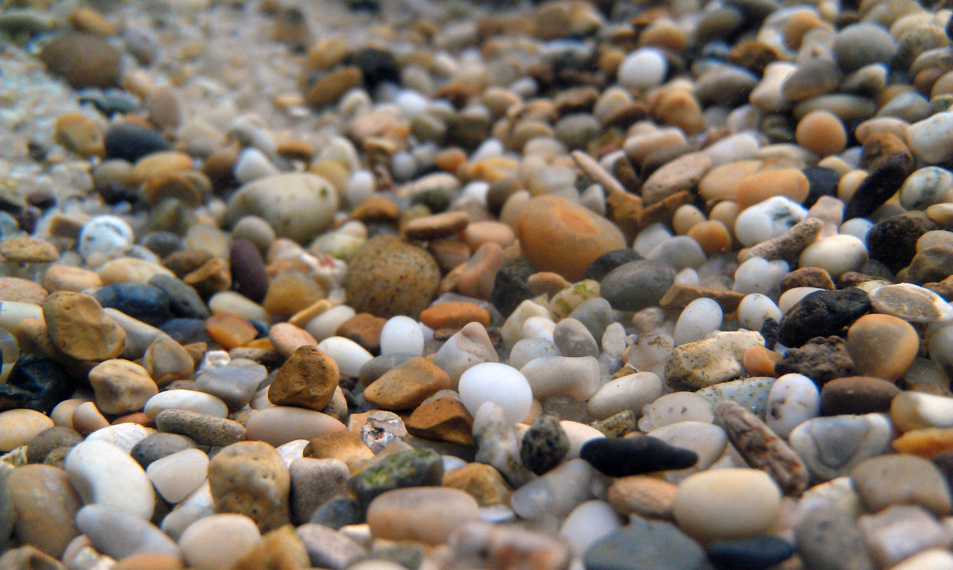 Aquarium gravel substrate at the bottom of a freshwater tank